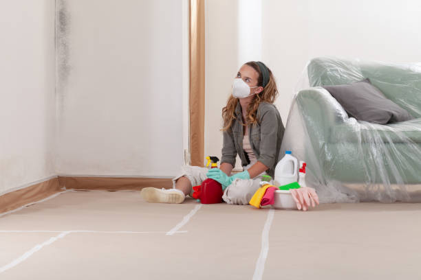 Reliable Mold Remediation contractor in Shrewsbury, PA by WQB Mold Removal